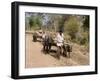 Bullock Carts, Tala, Bandhavgarh National Park, Madhya Pradesh, India-Thorsten Milse-Framed Photographic Print