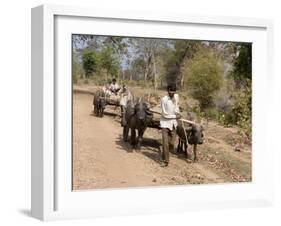 Bullock Carts, Tala, Bandhavgarh National Park, Madhya Pradesh, India-Thorsten Milse-Framed Photographic Print