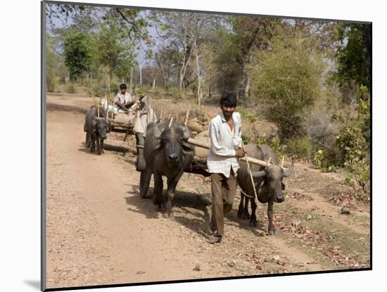 Bullock Carts, Tala, Bandhavgarh National Park, Madhya Pradesh, India-Thorsten Milse-Mounted Photographic Print