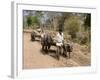 Bullock Carts, Tala, Bandhavgarh National Park, Madhya Pradesh, India-Thorsten Milse-Framed Photographic Print