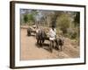 Bullock Carts, Tala, Bandhavgarh National Park, Madhya Pradesh, India-Thorsten Milse-Framed Photographic Print