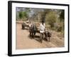 Bullock Carts, Tala, Bandhavgarh National Park, Madhya Pradesh, India-Thorsten Milse-Framed Photographic Print