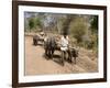 Bullock Carts, Tala, Bandhavgarh National Park, Madhya Pradesh, India-Thorsten Milse-Framed Photographic Print