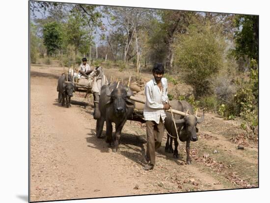 Bullock Carts, Tala, Bandhavgarh National Park, Madhya Pradesh, India-Thorsten Milse-Mounted Photographic Print