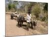 Bullock Carts, Tala, Bandhavgarh National Park, Madhya Pradesh, India-Thorsten Milse-Mounted Photographic Print