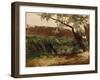 Bullrush (Piedra), Ca. 1872-Carlos de Haes-Framed Giclee Print