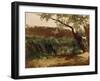 Bullrush (Piedra), Ca. 1872-Carlos de Haes-Framed Giclee Print