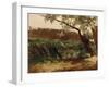 Bullrush (Piedra), Ca. 1872-Carlos de Haes-Framed Giclee Print