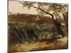 Bullrush (Piedra), Ca. 1872-Carlos de Haes-Mounted Giclee Print
