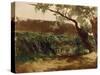 Bullrush (Piedra), Ca. 1872-Carlos de Haes-Stretched Canvas