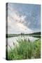 Bullrushes on Bank and Still Waters of River Mark, Breda, North Brabant, The Netherlands (Holland)-Mark Doherty-Stretched Canvas