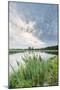 Bullrushes on Bank and Still Waters of River Mark, Breda, North Brabant, The Netherlands (Holland)-Mark Doherty-Mounted Photographic Print