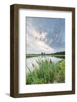 Bullrushes on Bank and Still Waters of River Mark, Breda, North Brabant, The Netherlands (Holland)-Mark Doherty-Framed Photographic Print