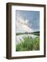 Bullrushes on Bank and Still Waters of River Mark, Breda, North Brabant, The Netherlands (Holland)-Mark Doherty-Framed Photographic Print