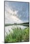 Bullrushes on Bank and Still Waters of River Mark, Breda, North Brabant, The Netherlands (Holland)-Mark Doherty-Mounted Photographic Print