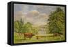 Bulls at Balmoral, 1988-Tim Scott Bolton-Framed Stretched Canvas