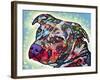 Bulls Eye-Dean Russo-Framed Giclee Print