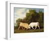 Bulls Fighting, 1786 (Oil on Panel)-George Stubbs-Framed Premium Giclee Print