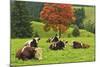 Bulls on Pasture and Maple Tree, Black Forest, Schwarzwald-Baar, Baden-Wurttemberg, Germany, Europe-Jochen Schlenker-Mounted Photographic Print