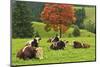 Bulls on Pasture and Maple Tree, Black Forest, Schwarzwald-Baar, Baden-Wurttemberg, Germany, Europe-Jochen Schlenker-Mounted Photographic Print