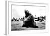 Bulls Seal-null-Framed Photographic Print