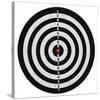 Bullseye Dartboard-null-Stretched Canvas