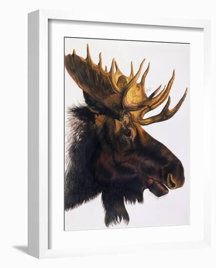 Bullwinkle-Barbara Keith-Framed Giclee Print