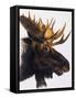 Bullwinkle-Barbara Keith-Framed Stretched Canvas