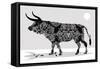Bully-Teofilo Olivieri-Framed Stretched Canvas