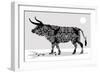 Bully-Teofilo Olivieri-Framed Giclee Print