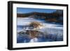 Bulrush In Snow On Frozen Pond-Anthony Paladino-Framed Giclee Print