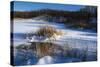Bulrush In Snow On Frozen Pond-Anthony Paladino-Stretched Canvas
