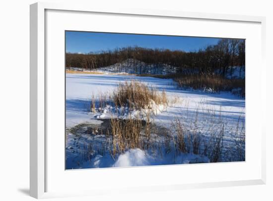 Bulrush In Snow On Frozen Pond-Anthony Paladino-Framed Giclee Print