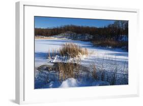 Bulrush In Snow On Frozen Pond-Anthony Paladino-Framed Giclee Print