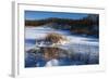 Bulrush In Snow On Frozen Pond-Anthony Paladino-Framed Giclee Print