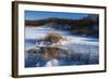 Bulrush In Snow On Frozen Pond-Anthony Paladino-Framed Giclee Print