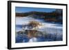 Bulrush In Snow On Frozen Pond-Anthony Paladino-Framed Giclee Print