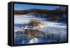 Bulrush In Snow On Frozen Pond-Anthony Paladino-Framed Stretched Canvas