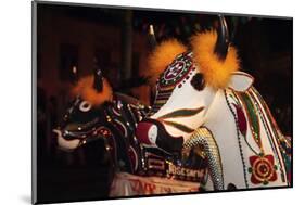 Bumba Meu Boi Celebration Every Solstice Of June In Center Historic City-OSTILL-Mounted Photographic Print