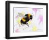 Bumble Bee Watercolor-Sarah Stribbling-Framed Art Print