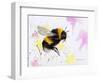 Bumble Bee Watercolor-Sarah Stribbling-Framed Art Print