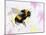 Bumble Bee Watercolor-Sarah Stribbling-Mounted Art Print