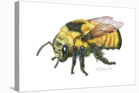 Bumble Bee-Tim Knepp-Stretched Canvas