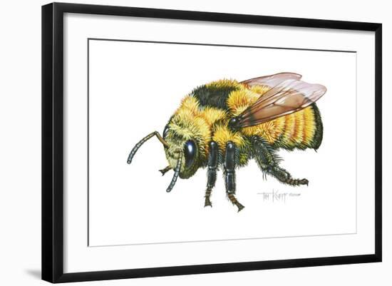 Bumble Bee-Tim Knepp-Framed Giclee Print