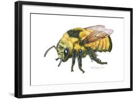 Bumble Bee-Tim Knepp-Framed Giclee Print
