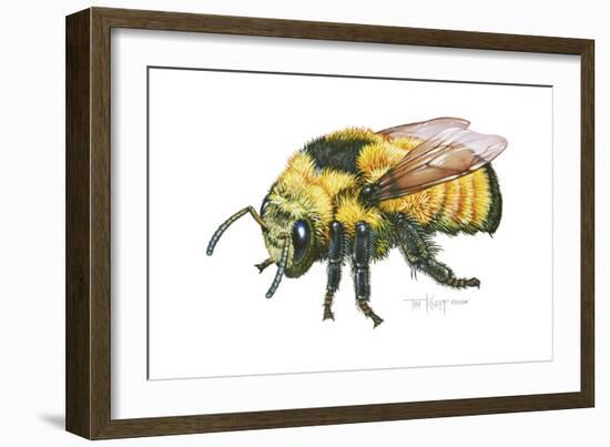 Bumble Bee-Tim Knepp-Framed Giclee Print