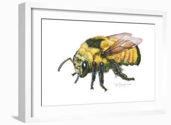 Bumble Bee-Tim Knepp-Framed Giclee Print