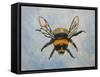 Bumble bee-Sarah Thompson-Engels-Framed Stretched Canvas