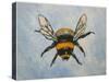 Bumble bee-Sarah Thompson-Engels-Stretched Canvas