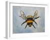 Bumble bee-Sarah Thompson-Engels-Framed Giclee Print